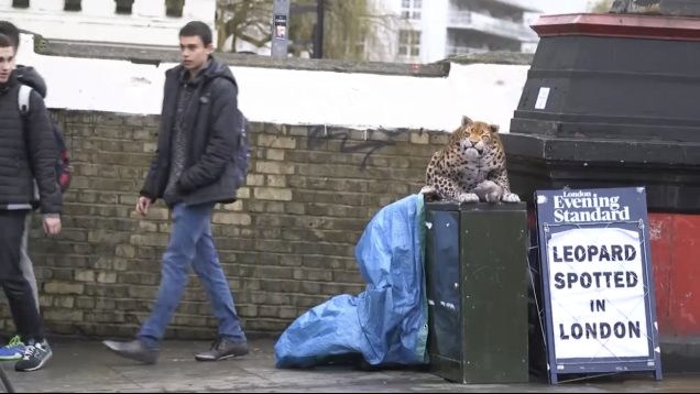 432A92CF-E814-42E9-9575-CE94D66E5AEC