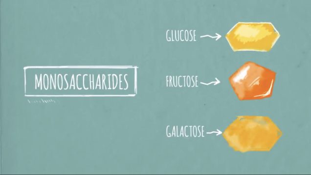 809E1AC7-6AF3-4564-8C77-DDC20EDAD282