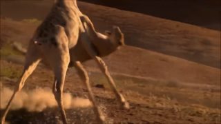 6D68C250-57D9-42EF-AB51-1DFE84BA4DC3