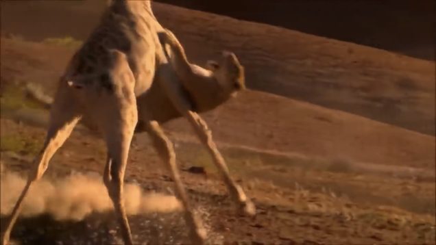 6D68C250-57D9-42EF-AB51-1DFE84BA4DC3