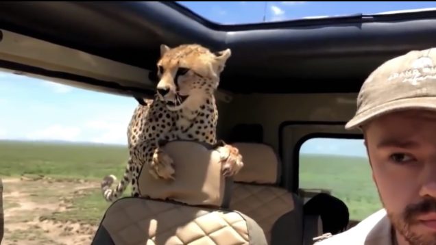 0D1DE195-B5EC-4D62-8F38-20EA7FC097A4