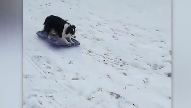 0B310B1D-45C7-498F-99BE-2426FC165228