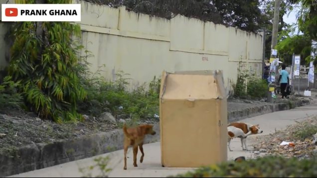 4ADFC7DA-4707-49A4-930E-B224C6B1E8D7