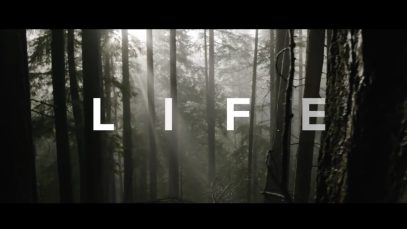 A99D5EFB-0CB4-4D07-A14B-F15B8768D061