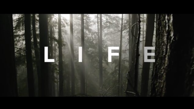 A99D5EFB-0CB4-4D07-A14B-F15B8768D061